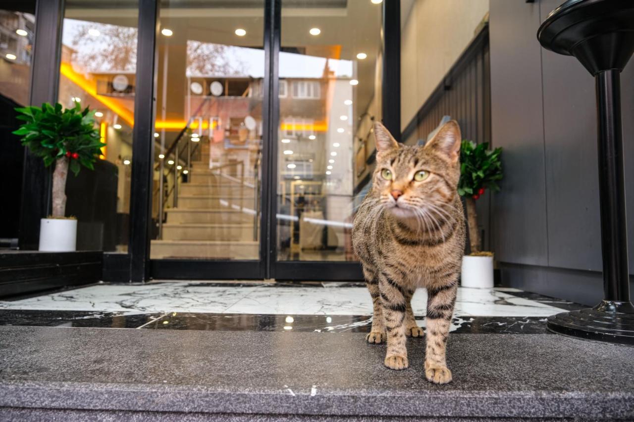 Calenberg Hotel Istanbul Luaran gambar